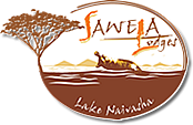 Sawela Logo
